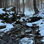 Dom W Gorach Zacisze Lasu Sucha Beskidzka