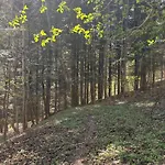 Dom W Gorach Zacisze Lasu Appartement Sucha Beskidzka