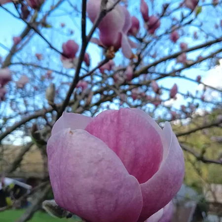 Dom W Górach Zacisze Lasu