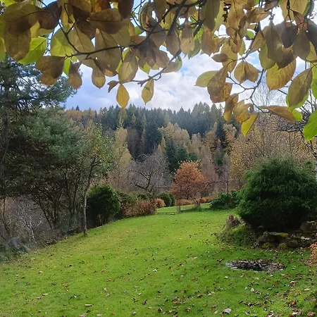 Dom W Gorach Zacisze Lasu * 贝斯基德地区苏哈