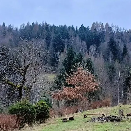公寓 Dom W Gorach Zacisze Lasu 贝斯基德地区苏哈