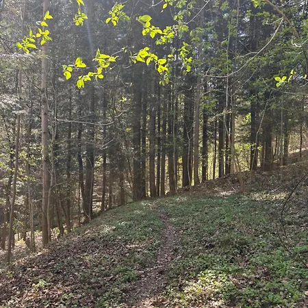Dom W Górach Zacisze Lasu Apartamento Sucha Beskidzka