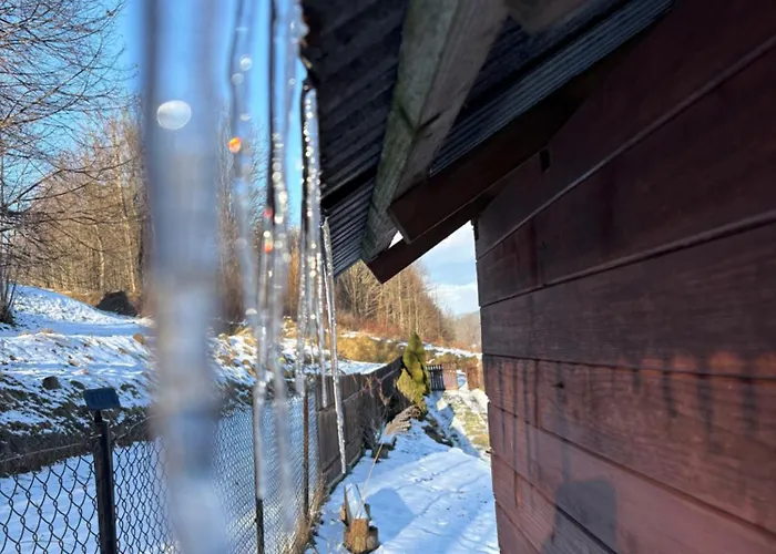 公寓 Dom W Gorach Zacisze Lasu *