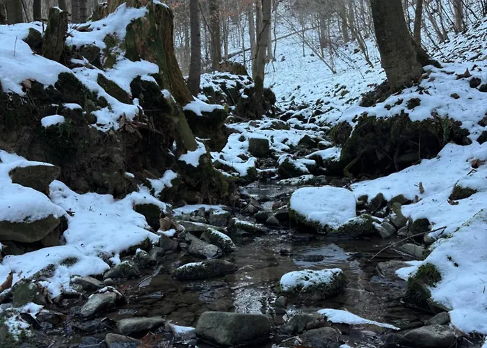 Dom W Gorach Zacisze Lasu 贝斯基德地区苏哈