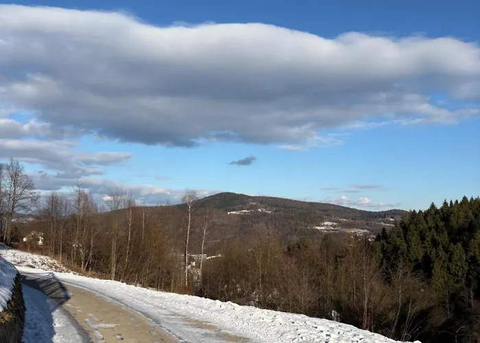 Dom W Gorach Zacisze Lasu 贝斯基德地区苏哈