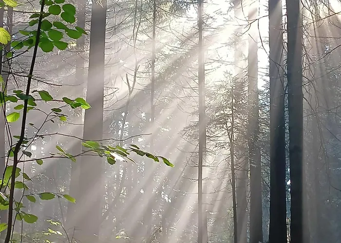 Dom W Gorach Zacisze Lasu 公寓