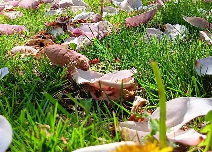 Dom W Gorach Zacisze Lasu 公寓 *