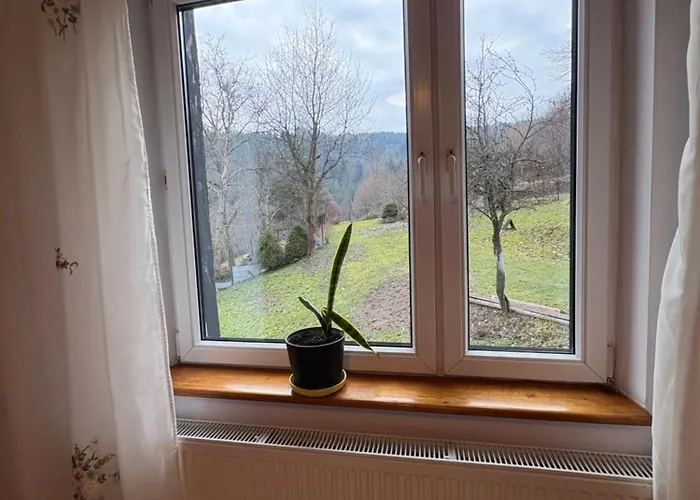 公寓 Dom W Gorach Zacisze Lasu *