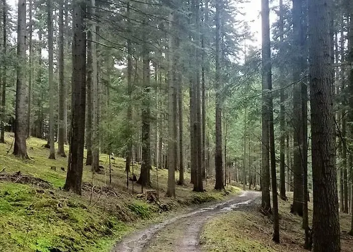 Dom W Gorach Zacisze Lasu *