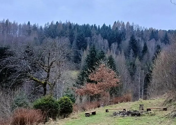 公寓 Dom W Gorach Zacisze Lasu 贝斯基德地区苏哈